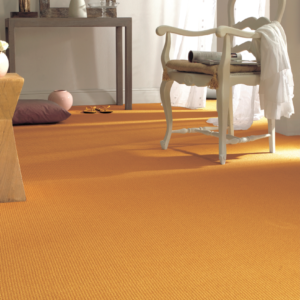 Luxury Nylon Carpet
