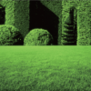 35mm Artificial Grass