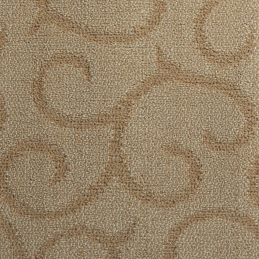 Vivaldi — photo 3