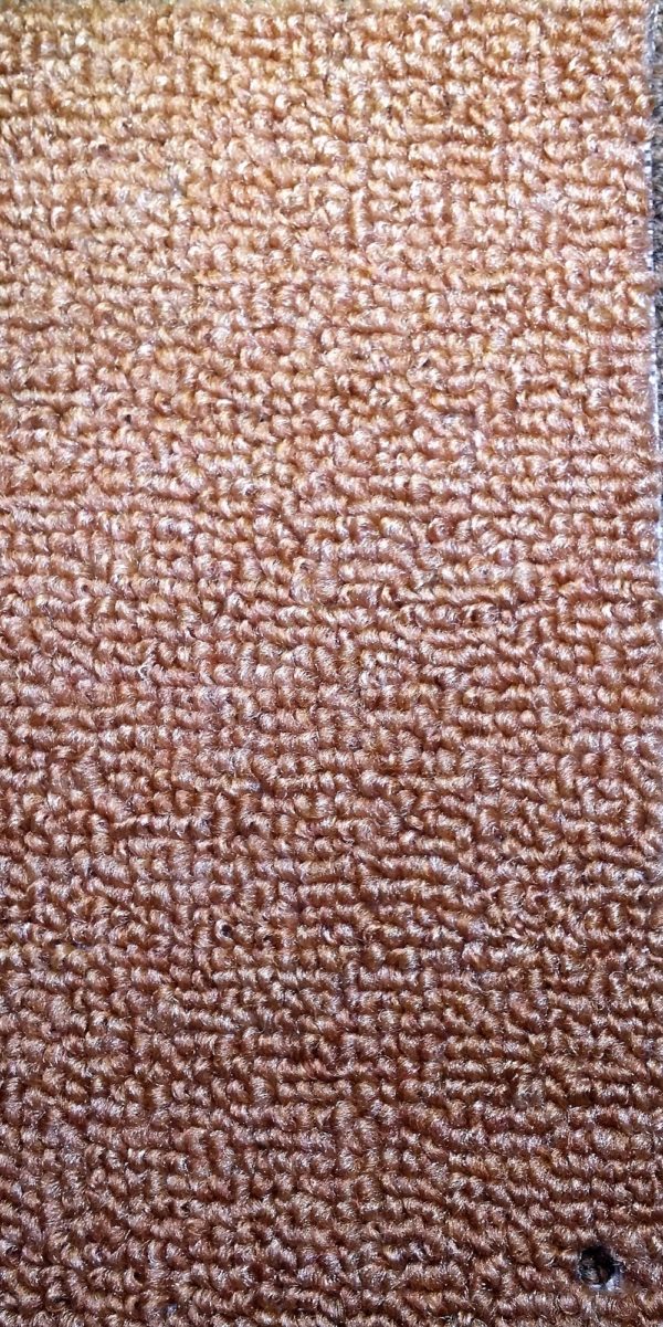 Budget Plain Carpet