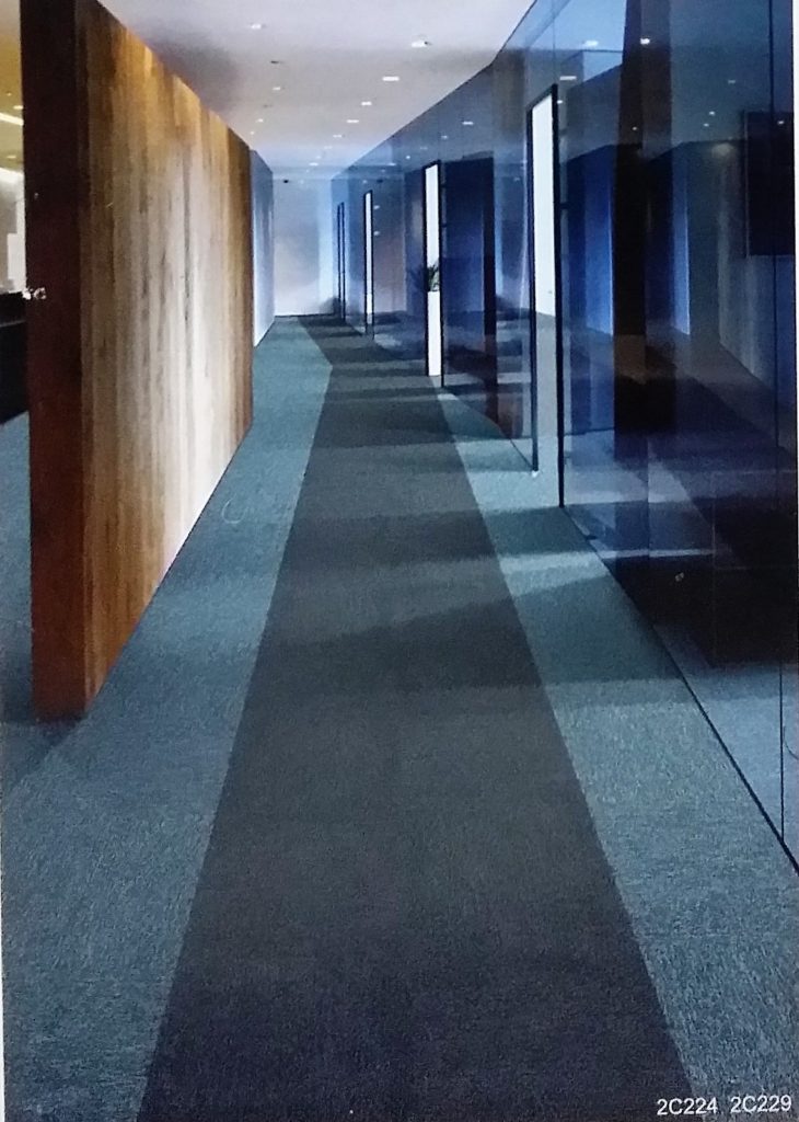 2C Series — photo 4