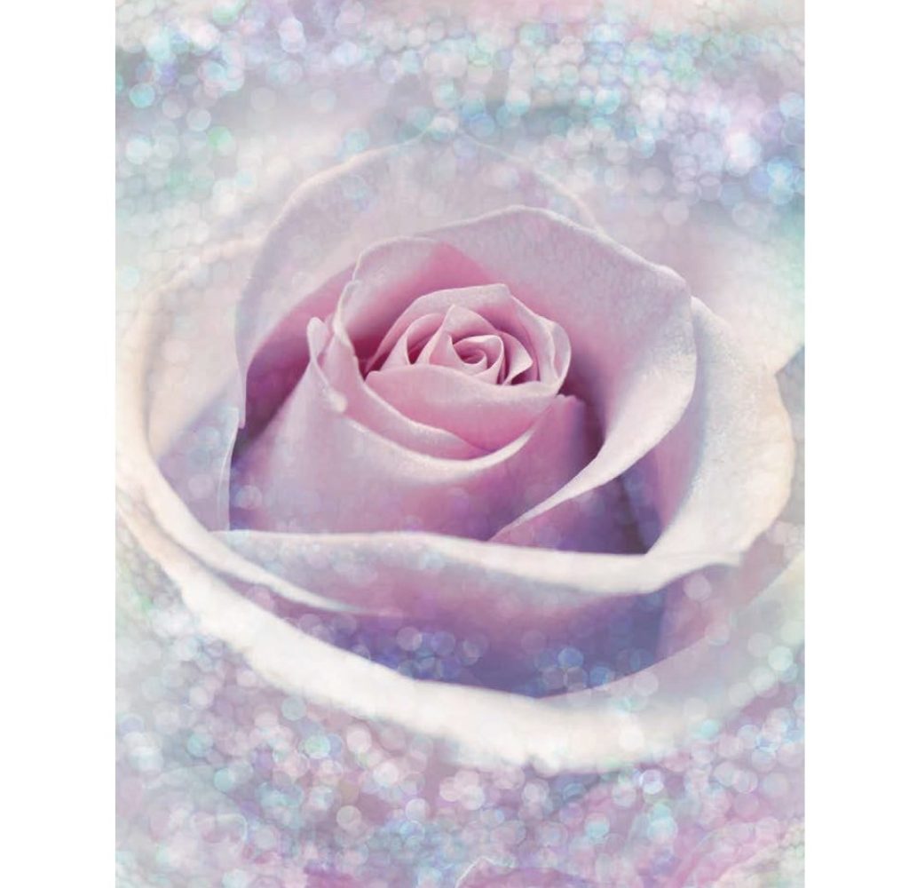 Delicate Rose — photo 2