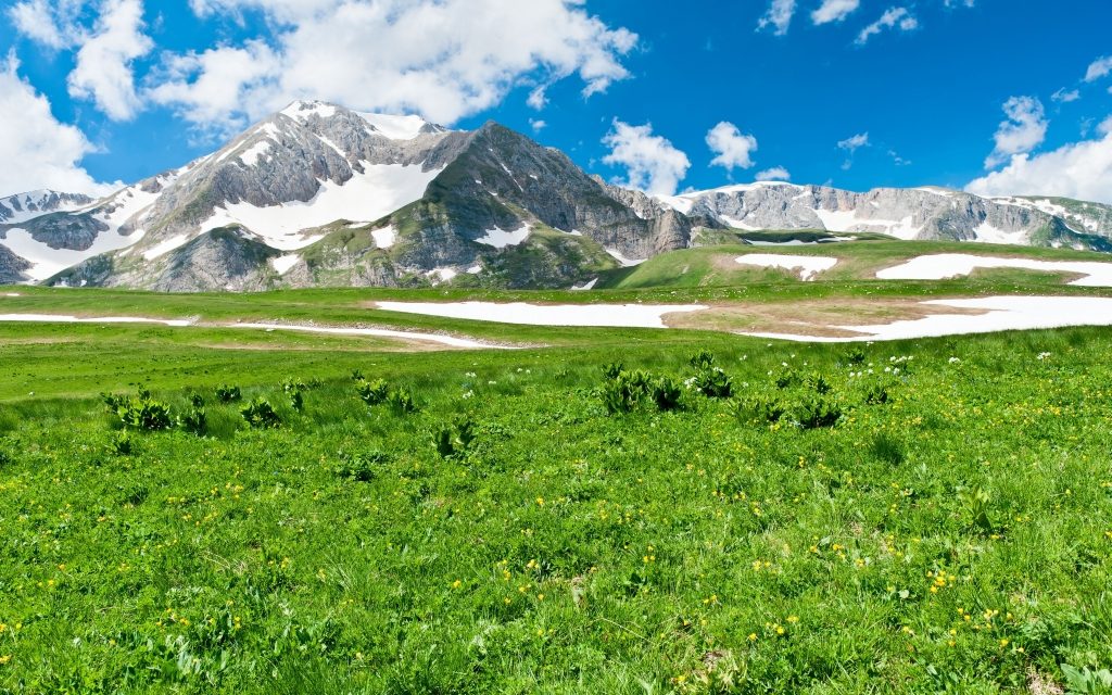 Landscape IV — photo 8