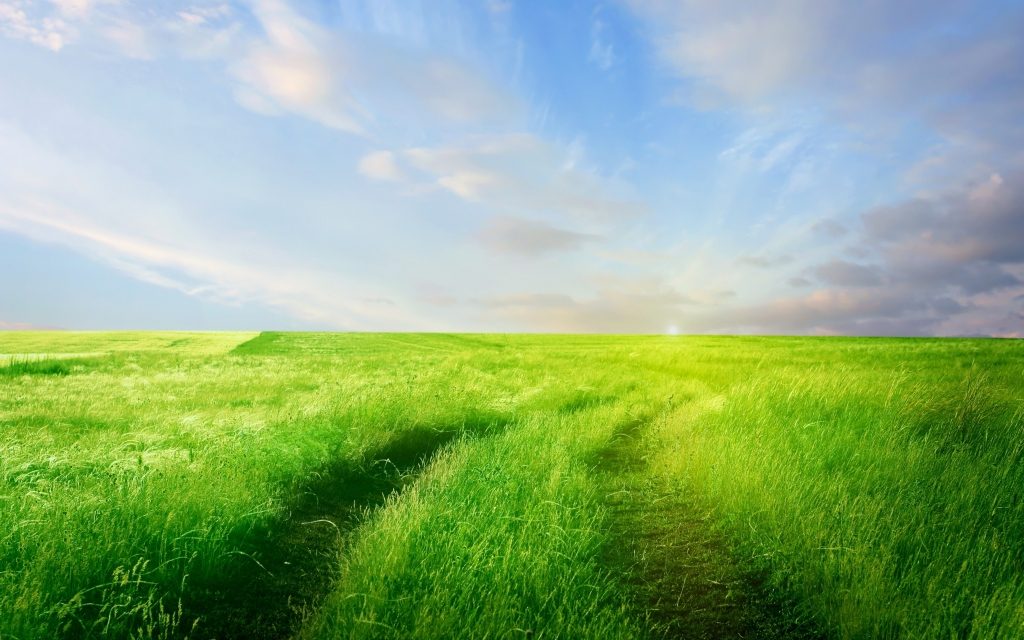 Landscape IV — photo 14