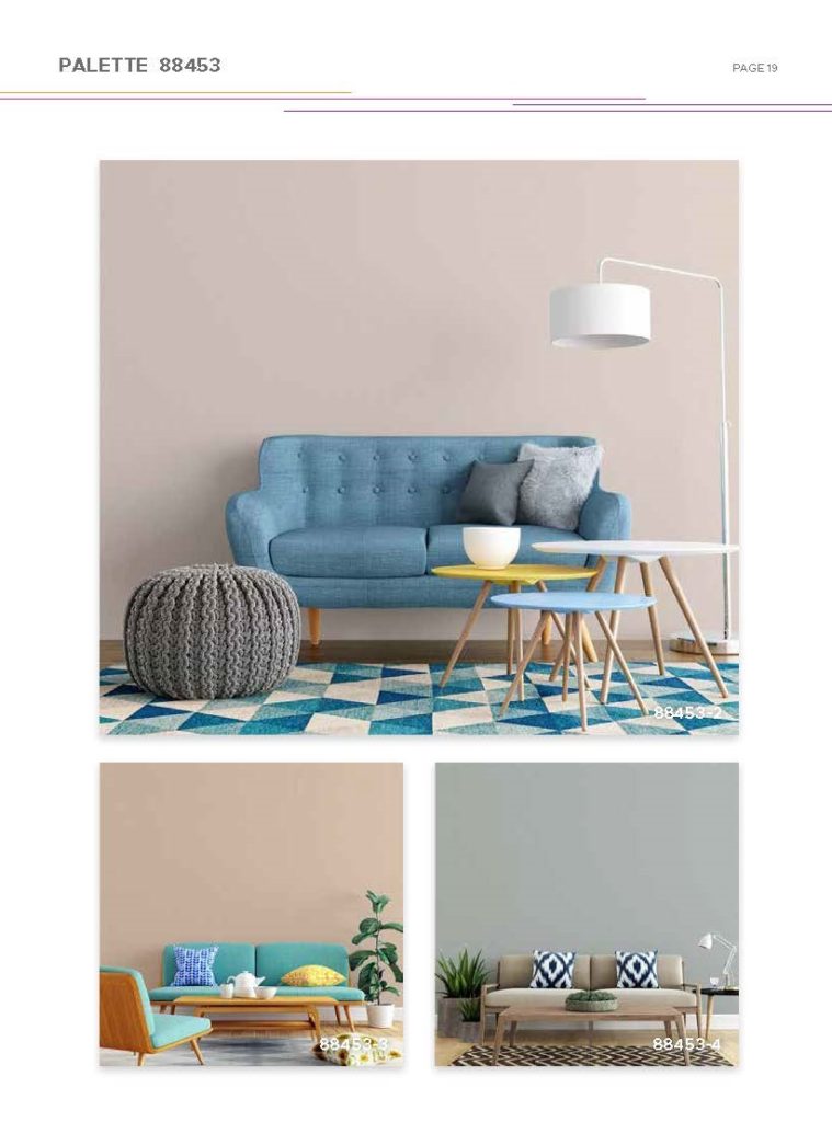 Palette Collection — photo 36
