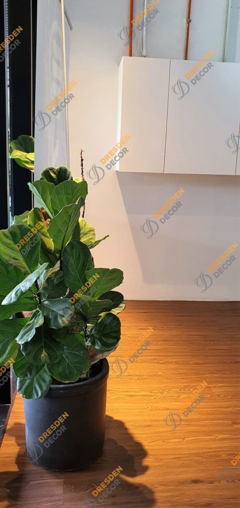 Korean PVC Vinyl