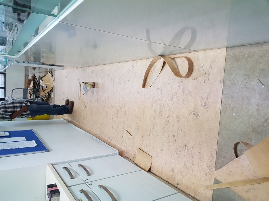PPUM Dental — Completed